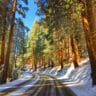 Road Through Sequoias in the Snow Sequoia National Park 3