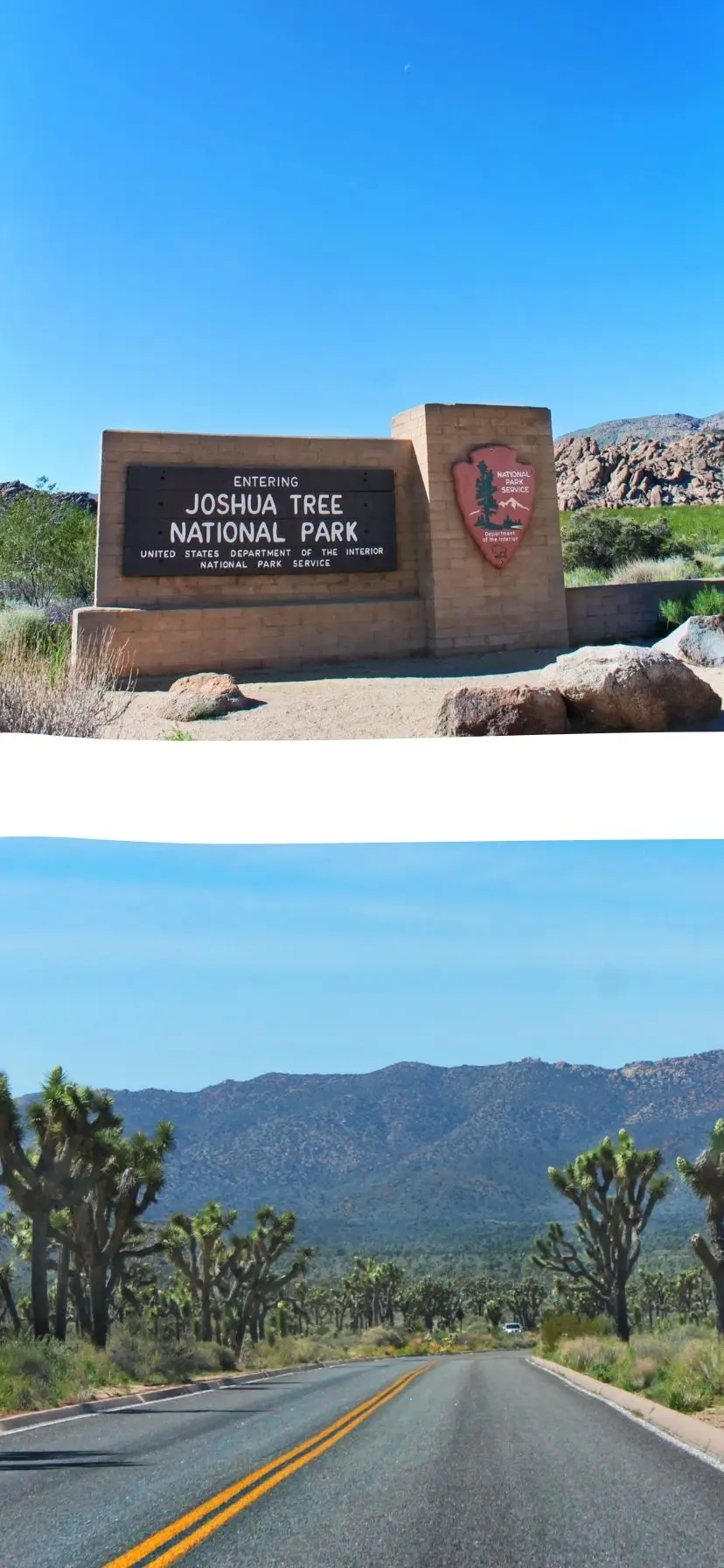 Road Trip to Joshua Tree National Park