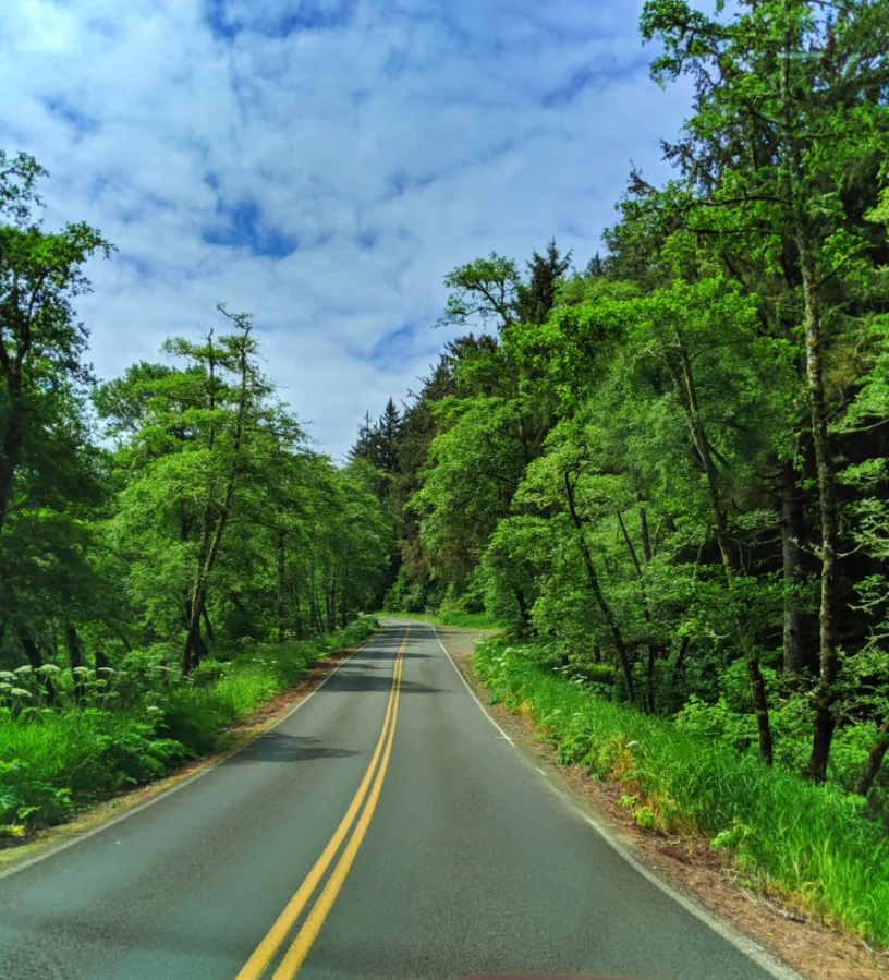 Road into Cape Disappointment State Park Ilwaco Washington 1