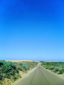 Road into Guadalupe Nipomo Dunes Preserve Santa Maria Valley California 1