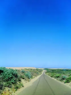 Road into Guadalupe Nipomo Dunes Preserve Santa Maria Valley California 1