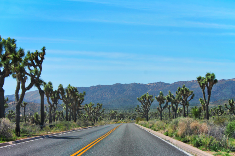 Road through Joshua Tree National Park California 6