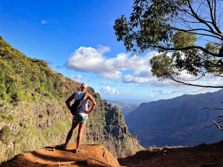 Rob Taylor Hiking in Waimea Canyon Kauai Hawaii 3