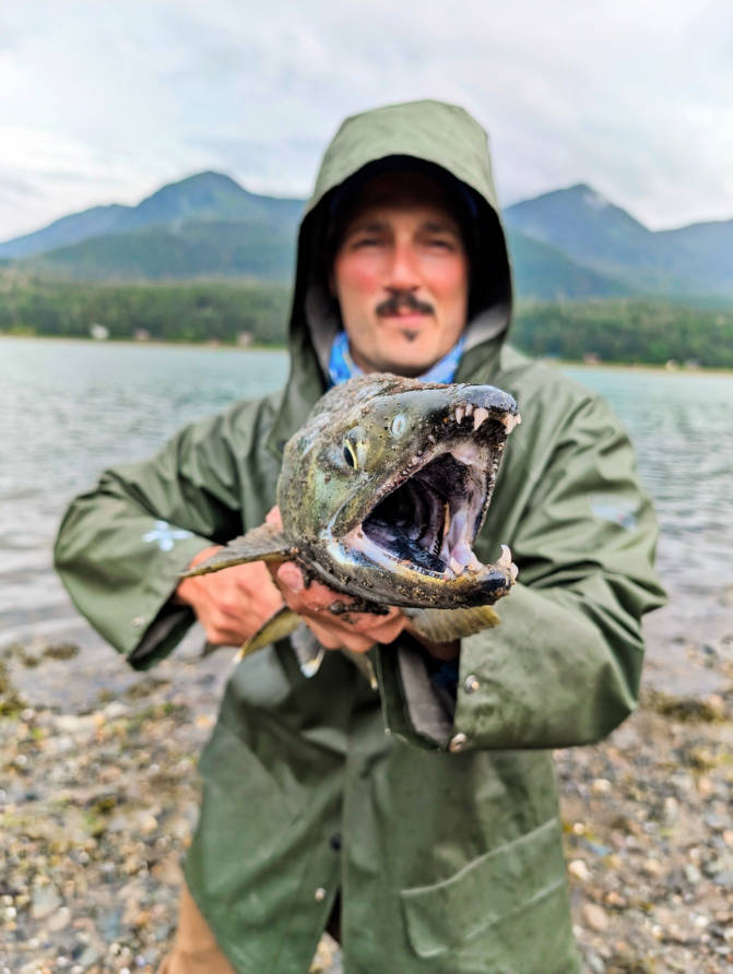 Rob Taylor Shore Fishing for Chum Salmon with Chum Fun Charters Juneau Alaska 1