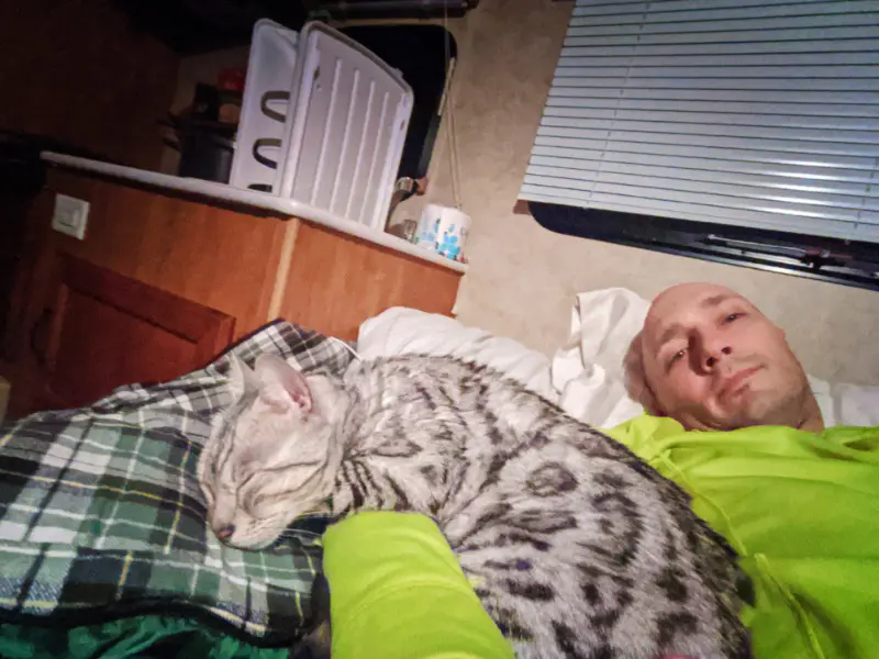 Rob Taylor and Bijoux Bengal Cat in Camper Trailer Cross Country Move 2020 1
