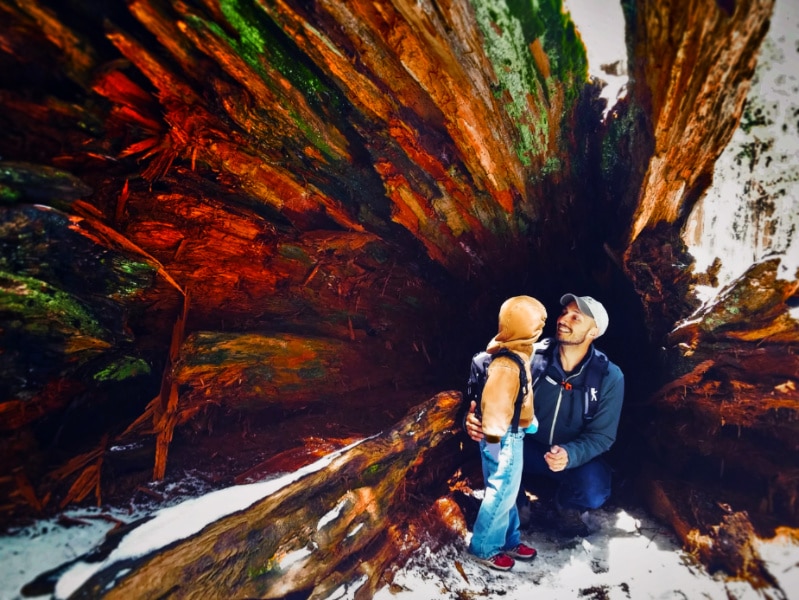 Rob Taylor and LittleMan in fallen giant Sequoia National Park in snow 1
