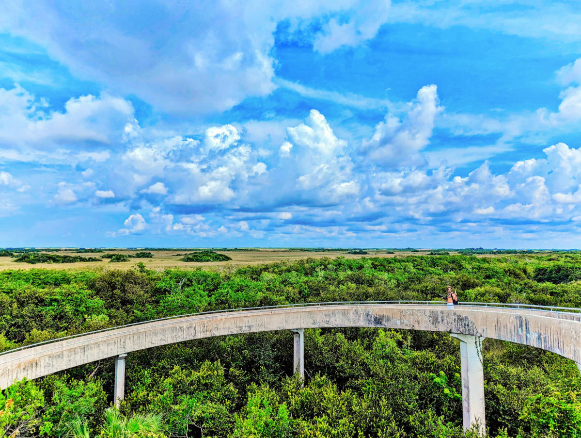 Rob Taylor at Shark Valley Observation Tower in Everglades National Park Florida 1