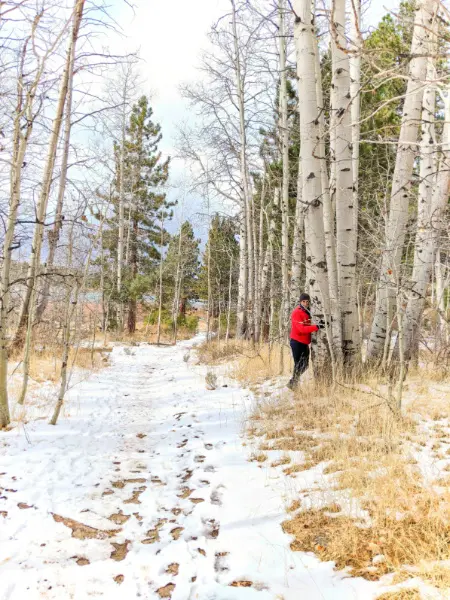 Rob Taylor hugging a tree at Spooner Lake Trail Lake Tahoe Nevada 2020 2