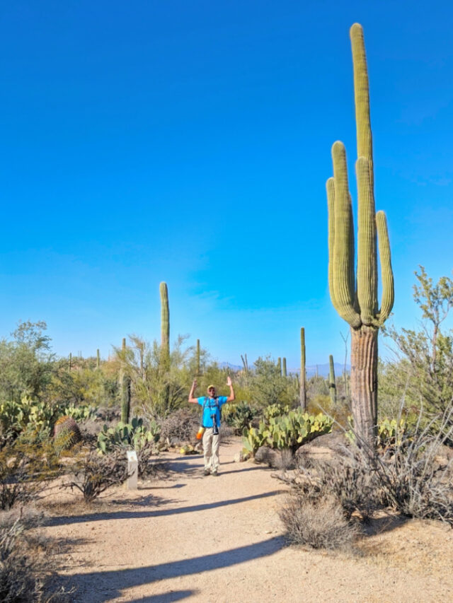 Rob Taylor on Wild Dog Valley View Trail in Saguaro National Park Tucson Arizona 1b
