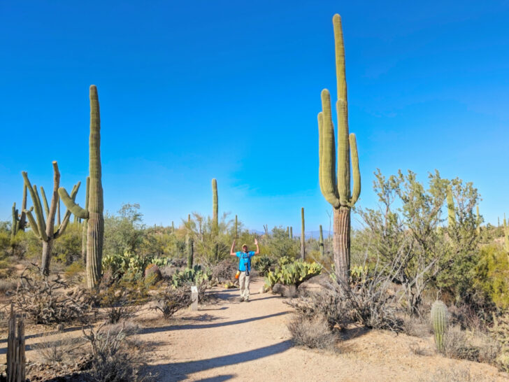 Rob Taylor on Wild Dog Valley View Trail in Saguaro National Park Tucson Arizona 1b