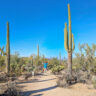 Rob Taylor on Wild Dog Valley View Trail in Saguaro National Park Tucson Arizona 1b
