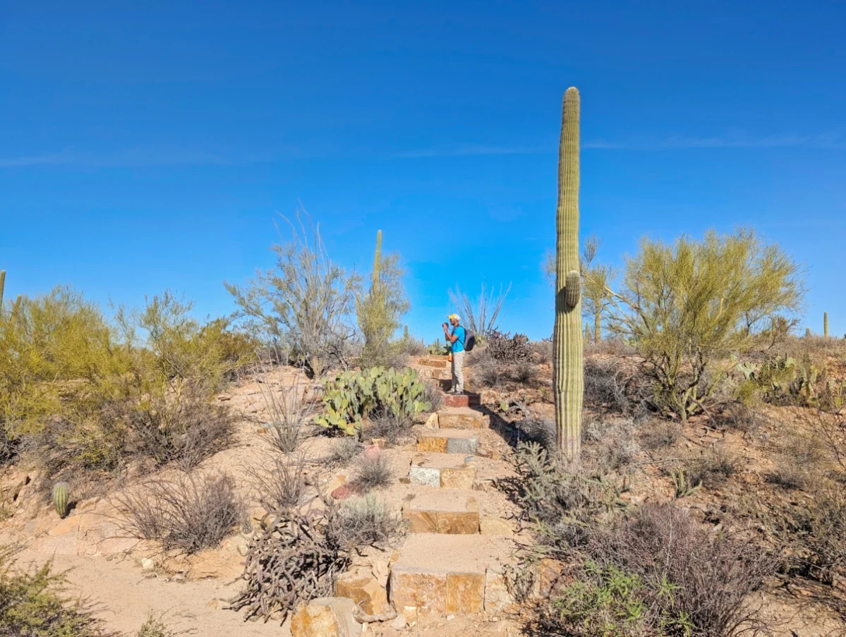 Rob Taylor on Wild Dog Valley View Trail in Saguaro National Park Tucson Arizona 2