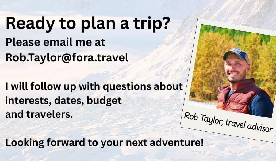 Rob Taylor, travel advisor widget