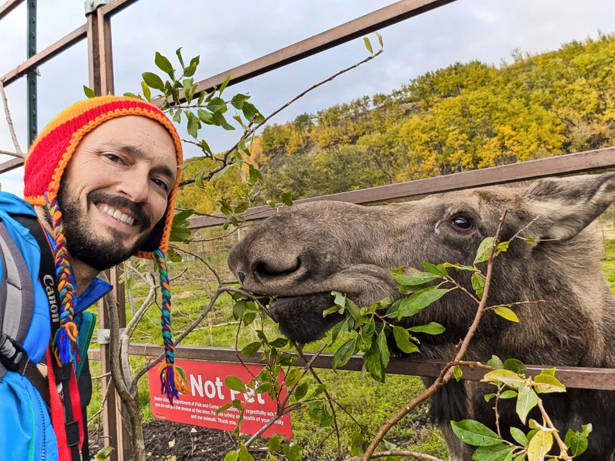 Rob Taylor with Rescue Moose at Reindeer Farm in Palmer Alaska 2