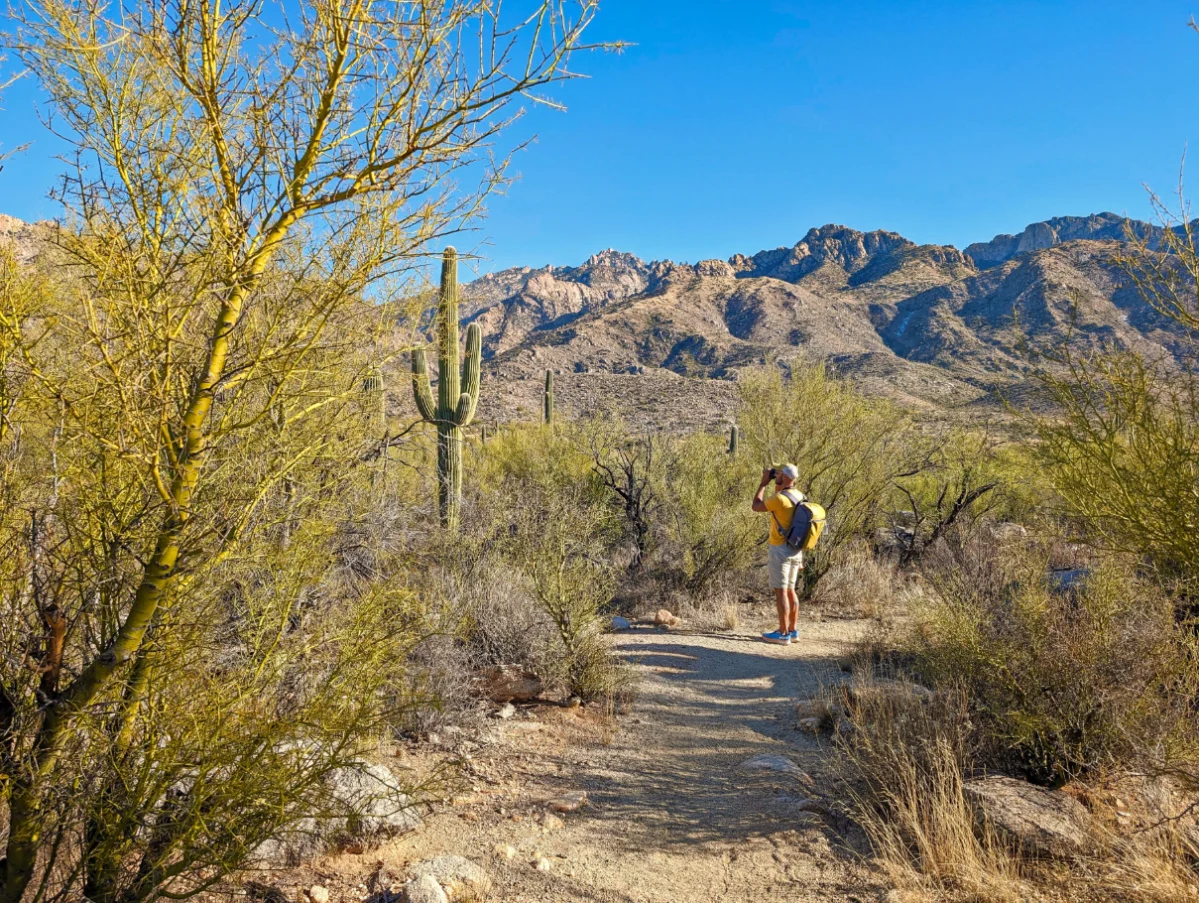 Rob Taylor with Saguaro Cactus at Catalina State Park Tucson Arizona 2