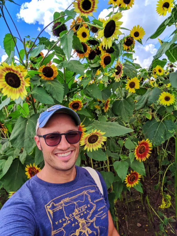Rob Taylor with Sunflowers at farm outside Rochester New York 1