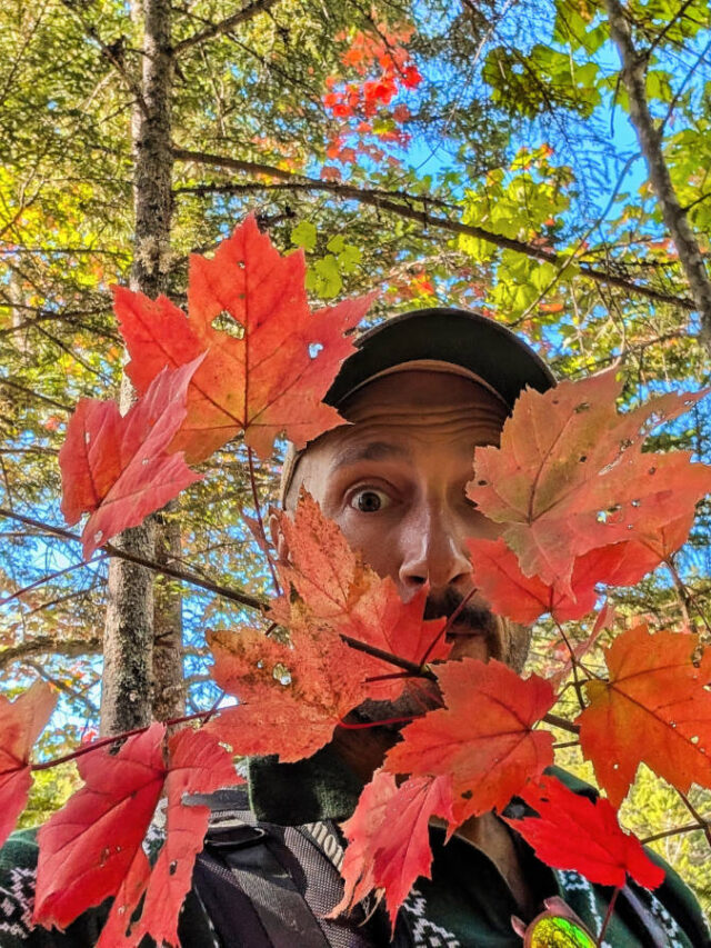 Rob Taylor with fall colors leaves in Baxter State Park Millinocket Maine 1