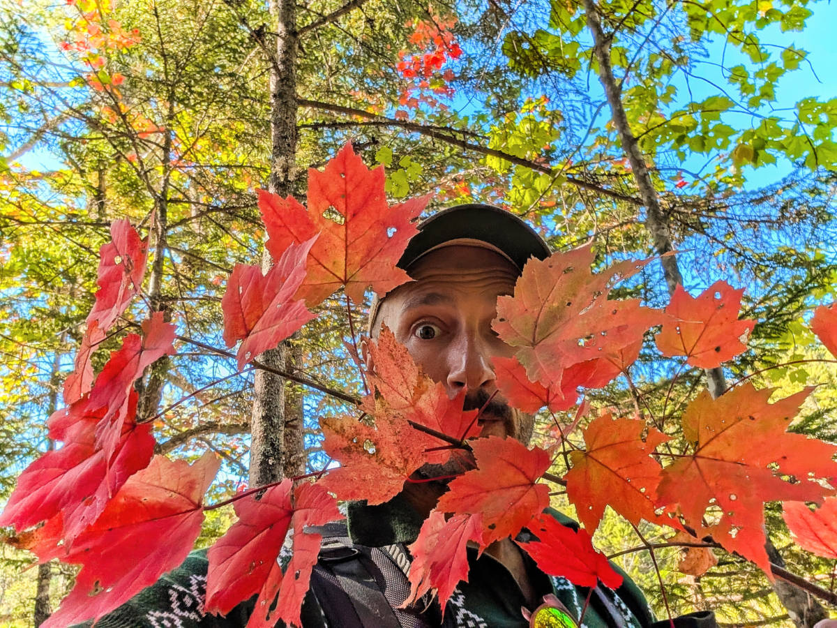 Rob Taylor with fall colors leaves in Baxter State Park Millinocket Maine 1