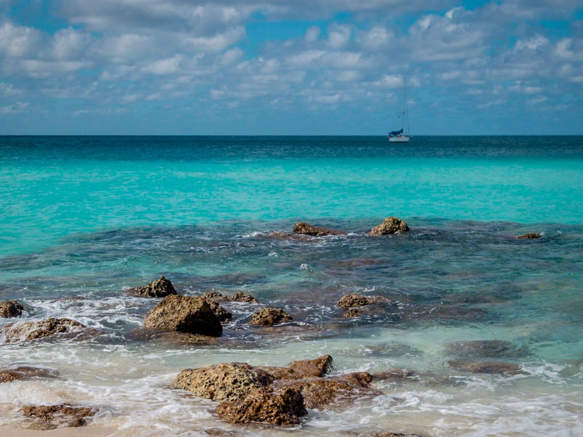 Rocky Reef at Bimini in the Bahamas