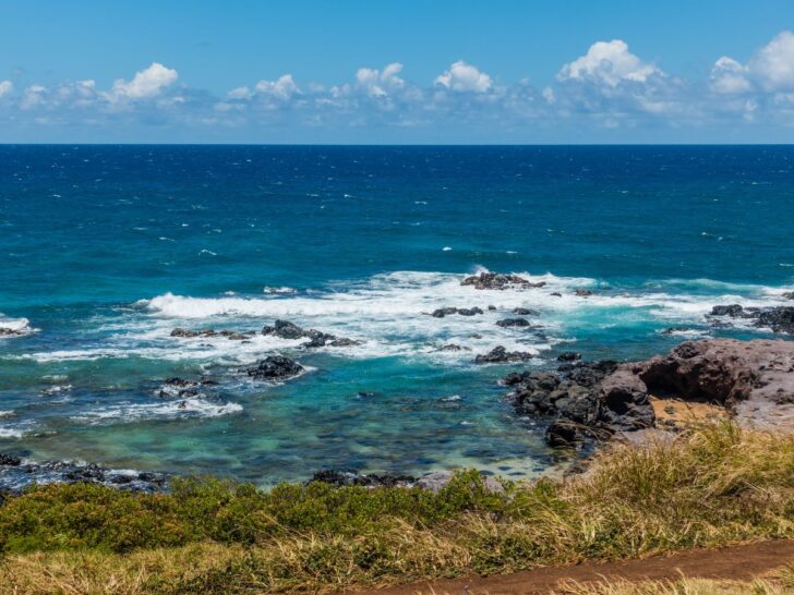 Best Unique Things to Do in Maui, Hawaii - 2TravelDads