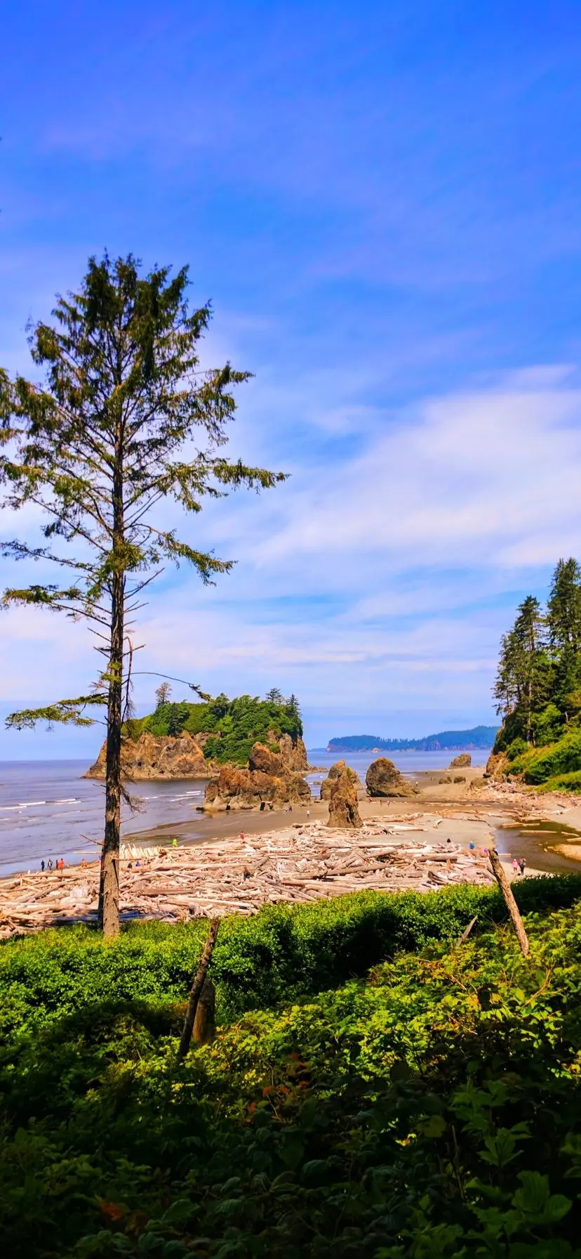 Ruby Beach Olympic National Park Web Story