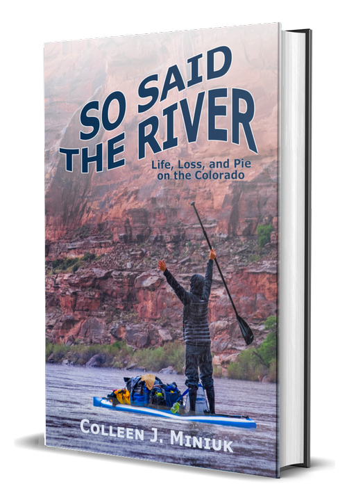 3D Book Cover: So Said the River by Colleen Miniuk