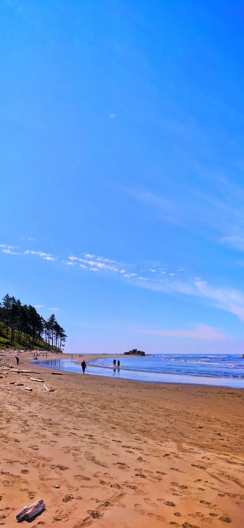 Sandy Beach at Ruby Beach Olympic National Park Web Story