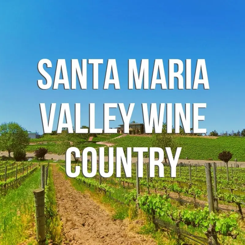 The Santa Maria Valley is one of our favorite destinations, both for outdoor recreation AND for experiencing wine country. We chat with two SMV wine makers, Norman Beko and Wes Hagen, about what makes the area so ideal for wine, as well as traveling to LA's wine country during COVID restrictions. Norman Beko of Cottonwood Canyon Winery explains the foot up the Santa Maria Valley has over other wine regions when it comes to growing and producing wines, particularly Pinot Noir and Chardonnay. Wes Hagen gives the rundown on managing wine tasting culture and creating remote wine experiences while much of California is still not fully open. But the Santa Maria Valley is OPEN and READY for wine country tourism with lots of safety precautions and creative problem solving!