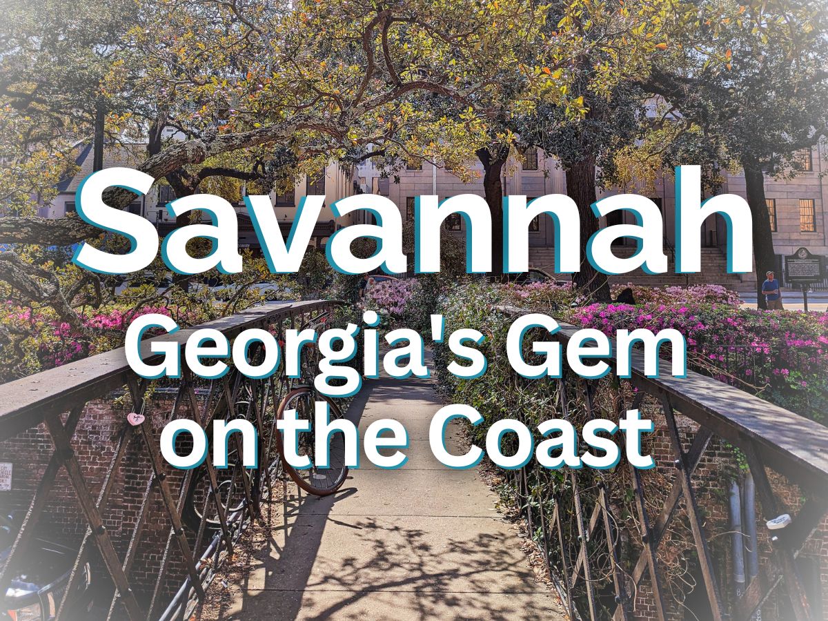 Savannah Destination Cover