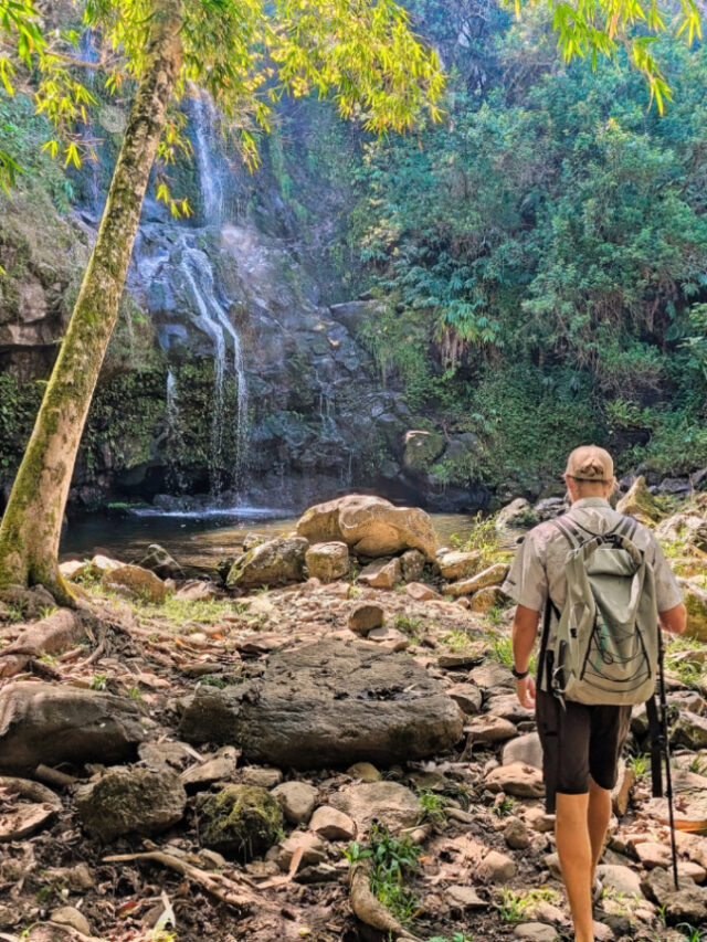 Secret Falls on Hawaii Forest and Trail Kohala Waterfall Hiking Big Island Hawaii 1