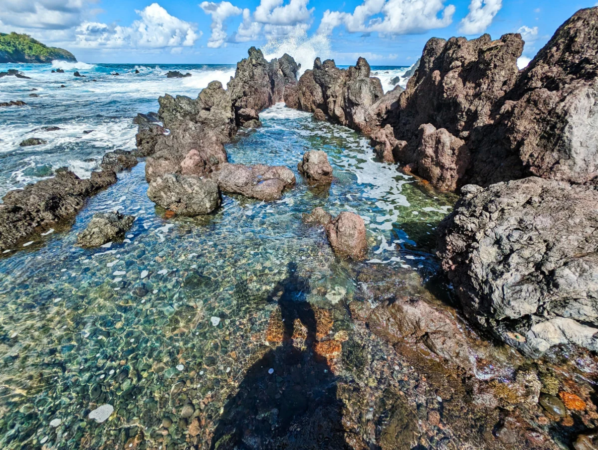 Shadow in Colorful Tidepools at Laupahoehoe Beach Park Hamakua Coast Big Island Hawaii 1