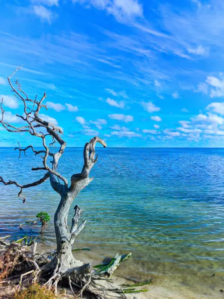 Shallow Waters at Annes Beach Islamorada Florida Keys 2020 1