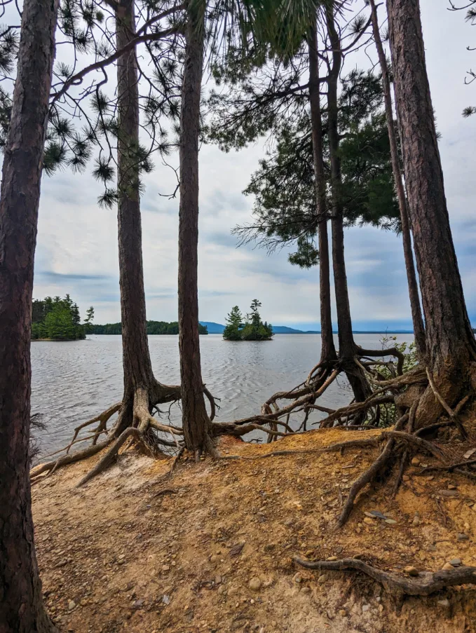 Shoreline of Moosehead Lake at Lily Bay State Park Greenville Highlands Maine 1