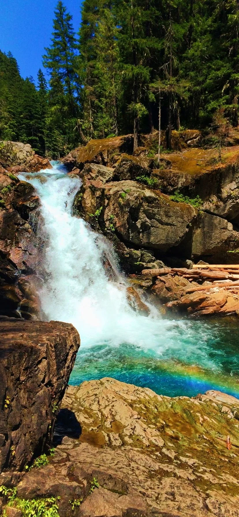 Silver Falls Day Hikes at Mount Rainier National Park