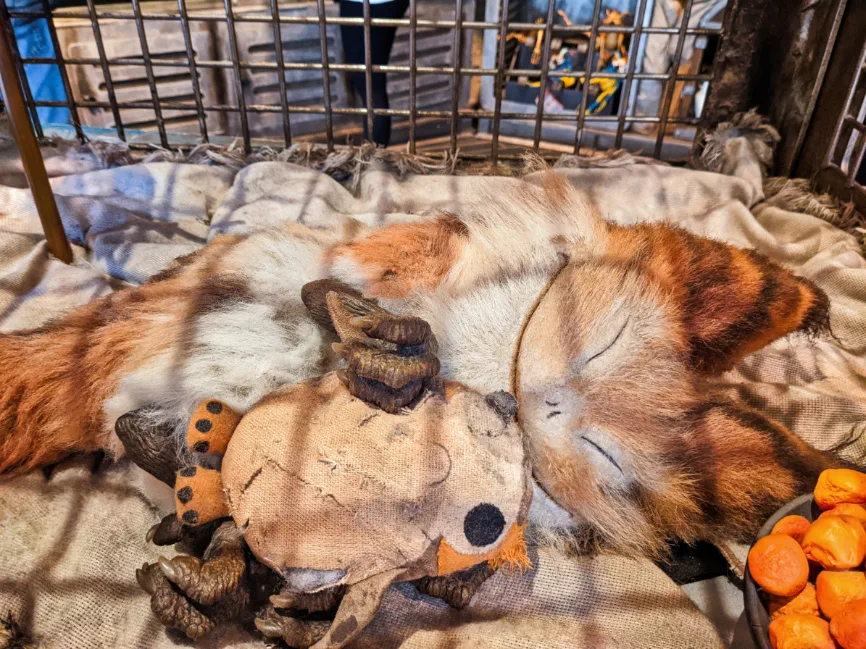 Sleeping Lothcat with Stuffed Porg at Star Wars Galaxys Edge Hollywood Studios Disney World 1