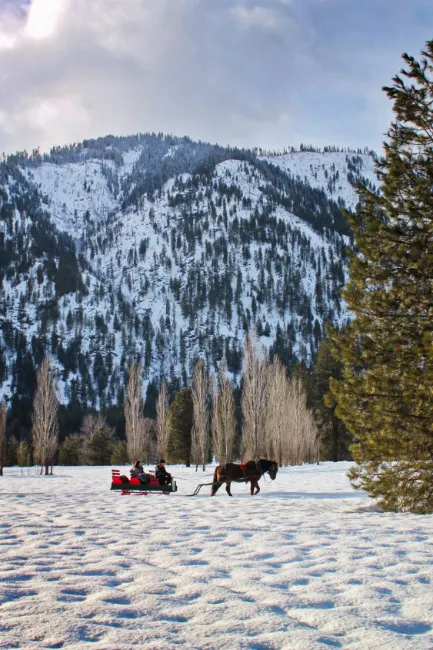 Sleigh Ride in Snow in Leavenworth WA 5