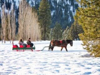 Sleigh-Ride-in-Snow-in-Leavenworth-WA-6-320x240.jpg