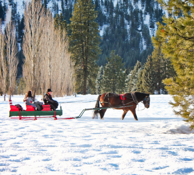 Sleigh Ride in Snow in Leavenworth WA 6
