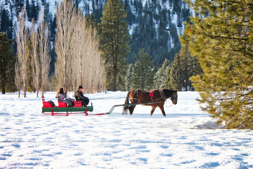 Sleigh Ride in Snow in Leavenworth WA 6