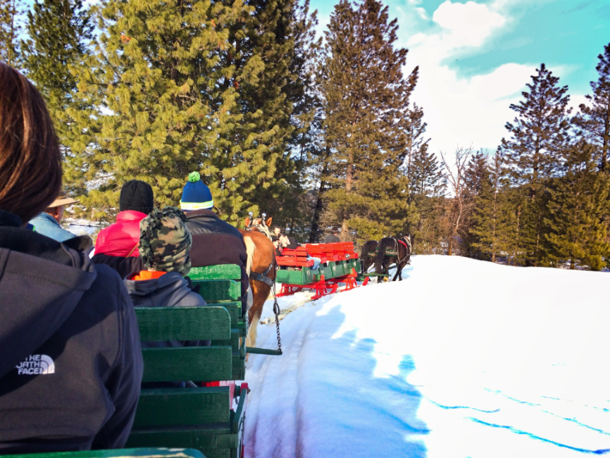 Sleigh Ride in Snow in Leavenworth Washington 1