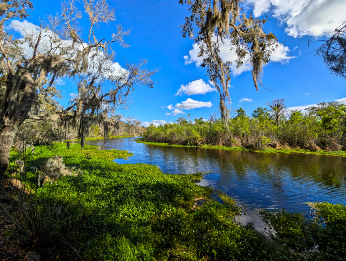Snake Creek at Hontoon Island State Park Orange City Florida