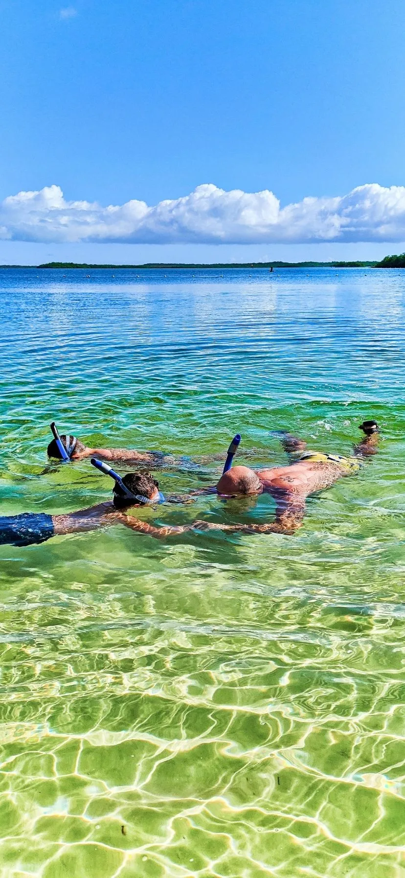 Snorkeling at John Pennekamp State Park Florida Keys