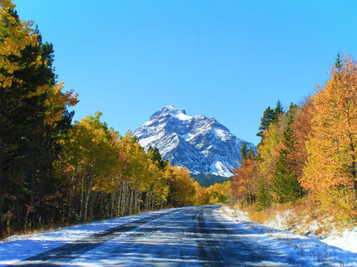 National Park Scenic Drives You’ll Never Forget (and to plan for NOW!)