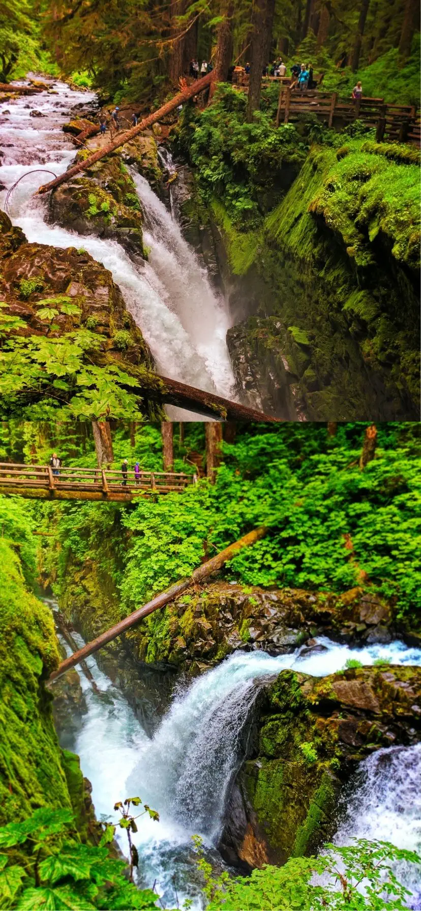 Sol Duc Falls on Olympic Peninsula Things to Do