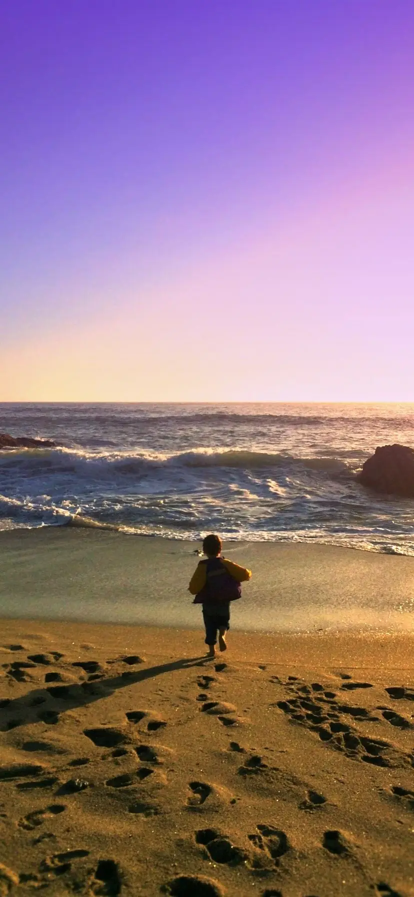 Sonoma County Beach California Coast Road Trip