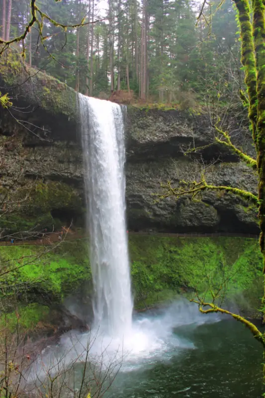 South Falls Silver Falls State Park Oregon 4