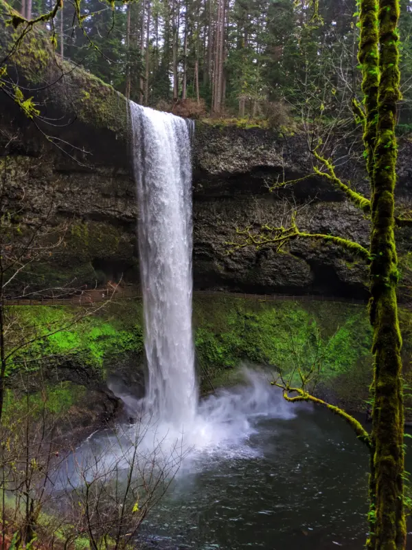 South Falls Silver Falls State Park Oregon 5