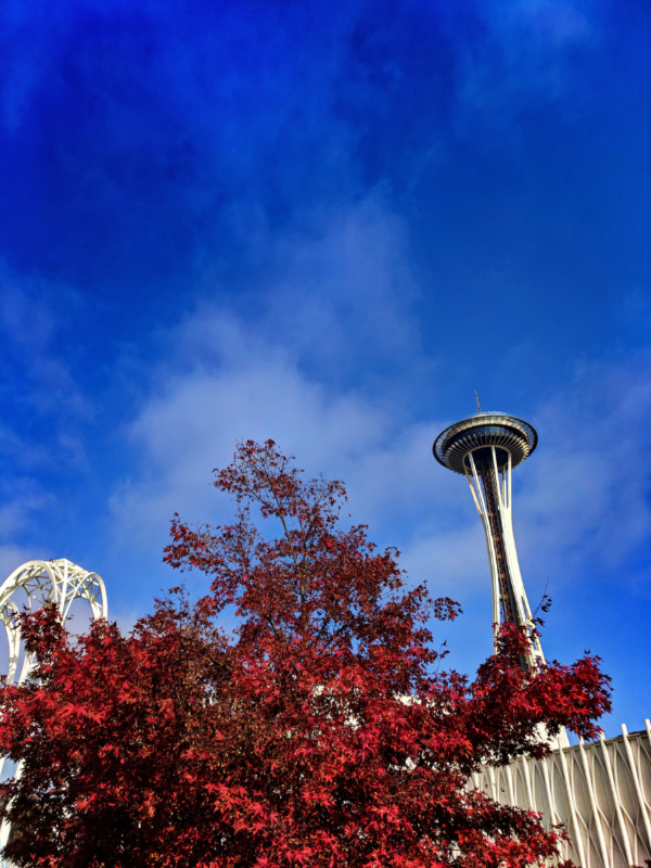 Space Needle with fall colors from Pacific Science Center Seattle 1