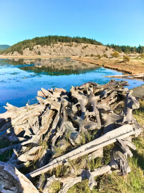 Spencer Spit State Park on Lopez Island by Barbara Marrett
