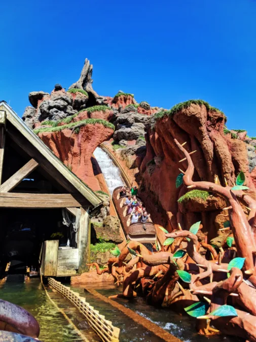 Splash Mountain Magic Kingdom Disney World Florida 5